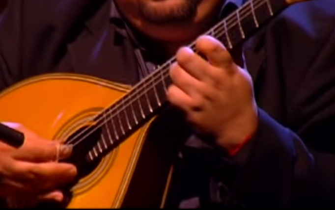 Jose Manuel Neto, Guitarra Portuguesa, fado