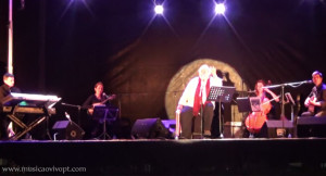 Amarante, Pedro Barroso, Musica ao vivo, Feira Livro, 2015, Concerto, Norte