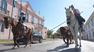 Eh! Toiro 2020, Chamusca, Espetáculos, Recordações, Tradições, Município da Chamusca, Artistas, Músicos, Fadistas, Artistas, Dança, Tradicional, Folclore